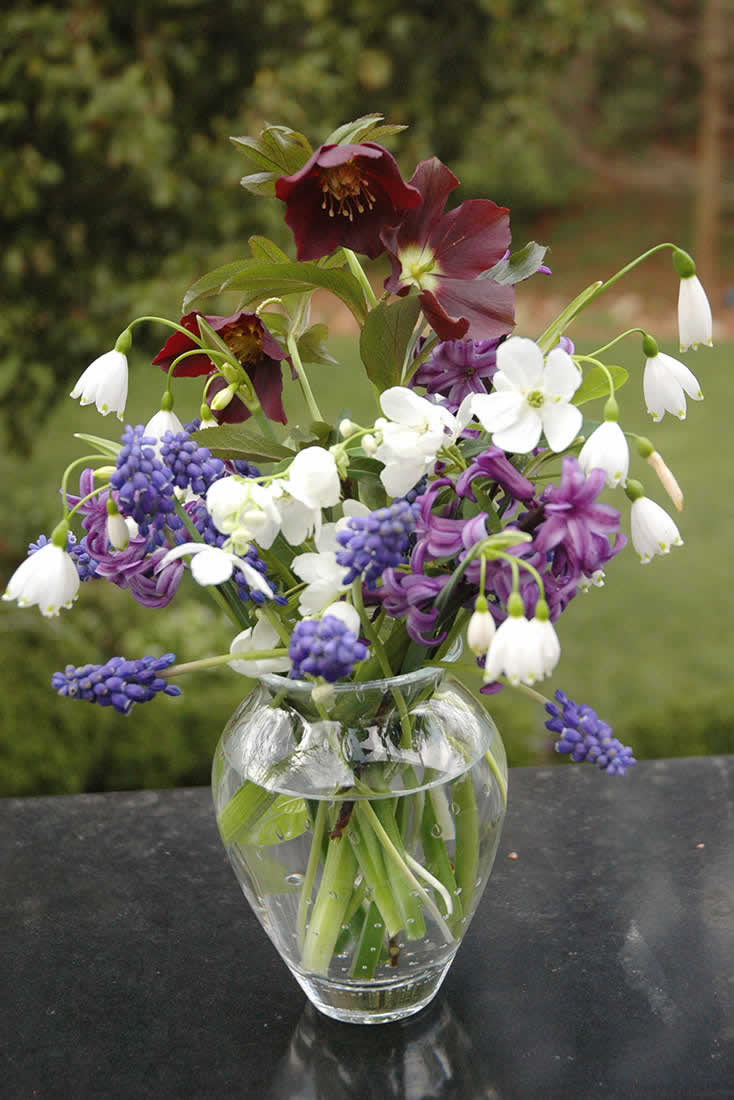 Alex Smith Floral Arrangement - Purple Mix