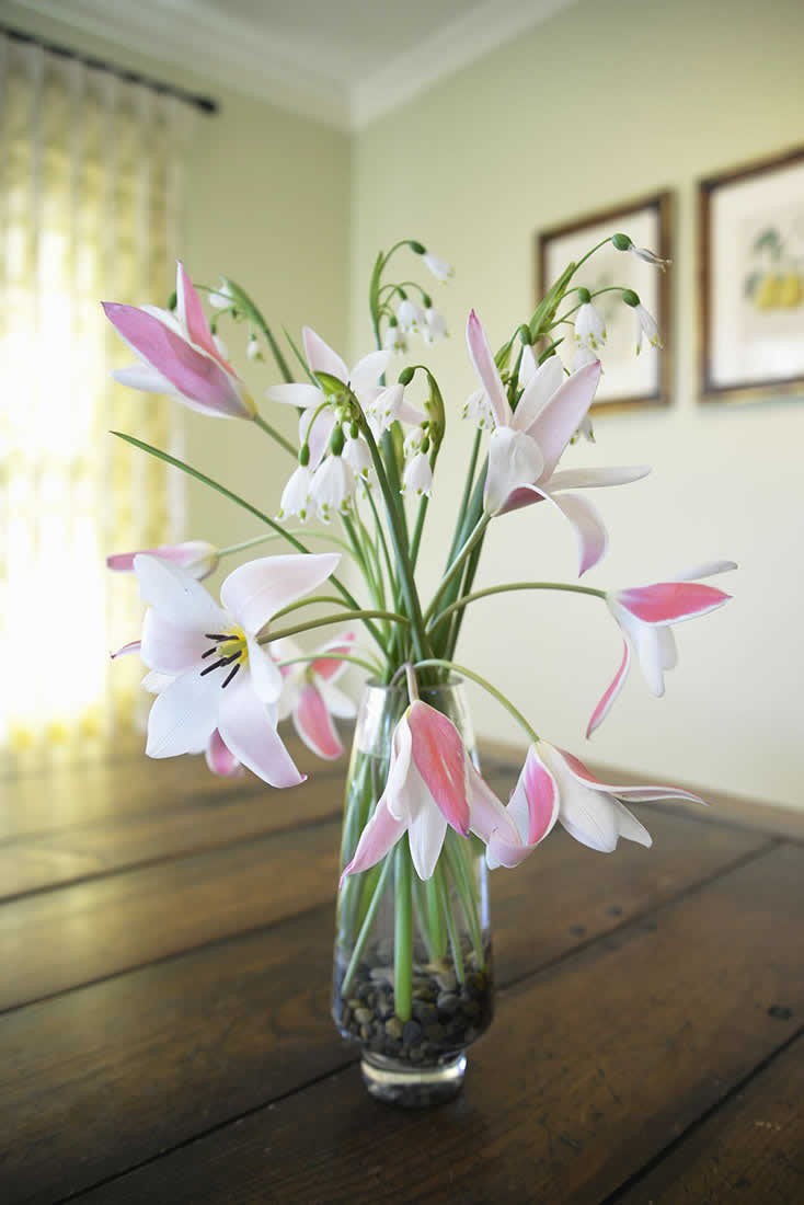 Alex Smith Floral Arrangement - Tulip