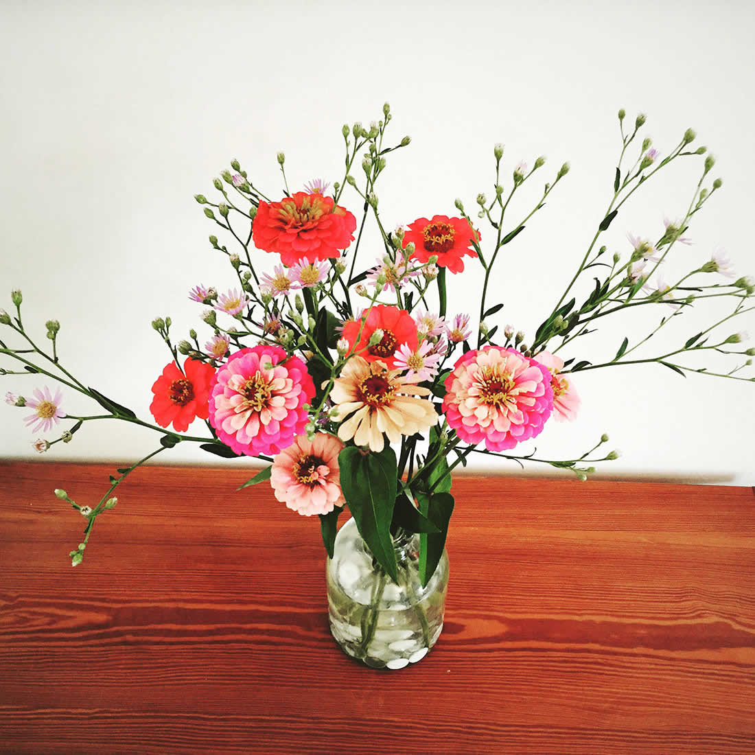 Alex Smith Floral Arrangement - Zinnia