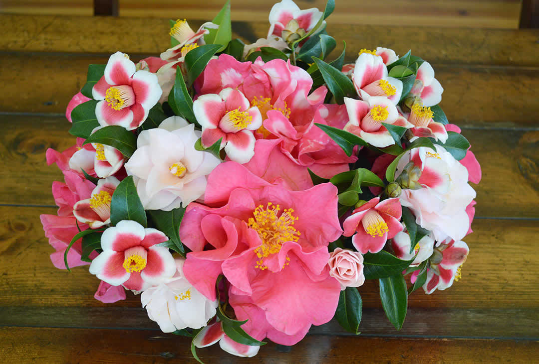 Alex Smith Floral Arrangement - Camellia