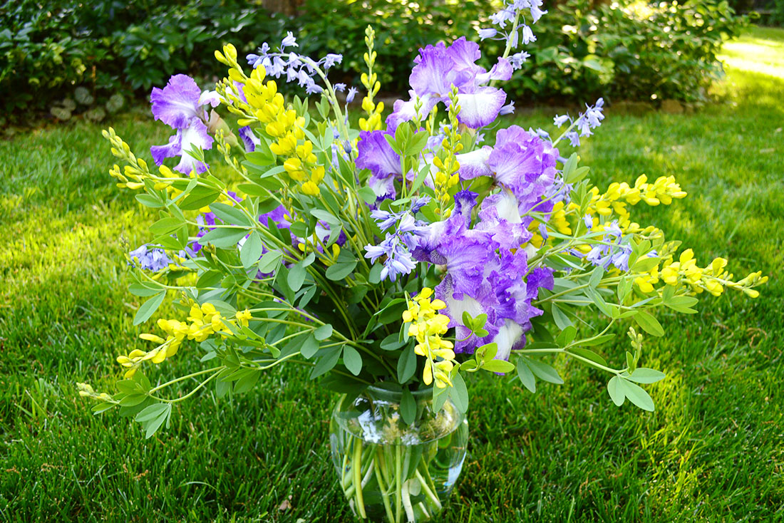 Alex Smith Floral Arrangement - Iris
