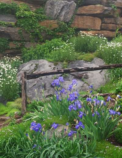 alex-smith-garden-design-sanders-4-fence