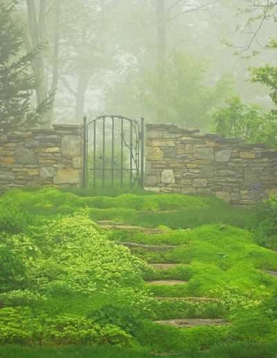 alex-smith-garden-design-sanders-6-steps