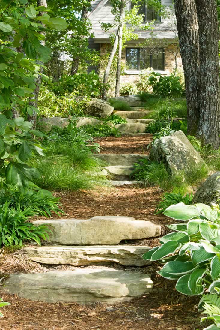 garden-design-thompson-7-wooded-path